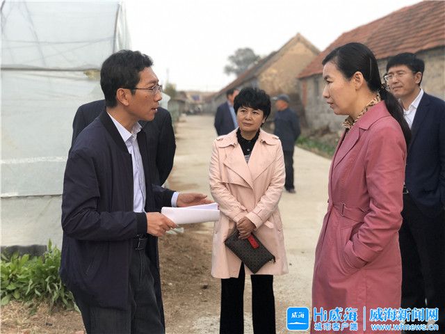 张宏伟调研精准扶贫及精致农家创建等工作