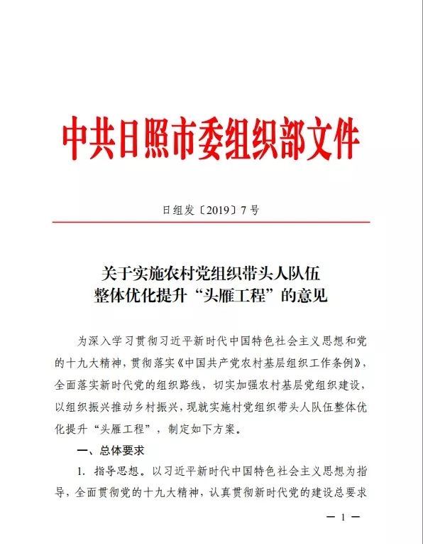 日照市大力实施 头雁工程 优化提升农村党组织带头人队伍 闪电新闻