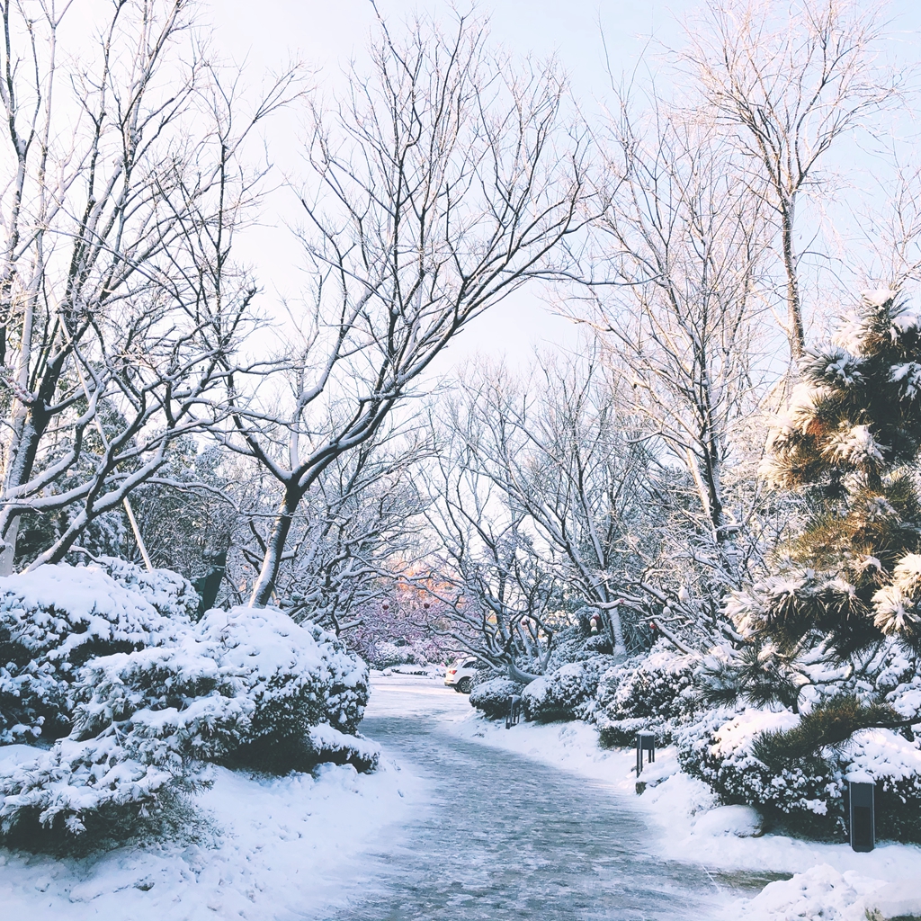 朋友圈"雪景"斗图大赛,欢迎来战