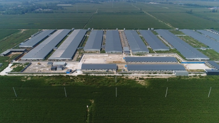 【改革攻坚在行动】德州市宁津县人力资源和社会保障局:紧跟改革攻坚