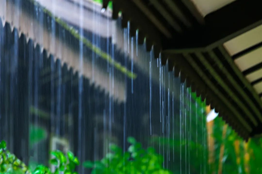 来看看春雨下的齐鲁大地美成壁纸