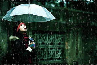 今天有小雨夜间内陆有轻霜冻 未来3天气温均比较低