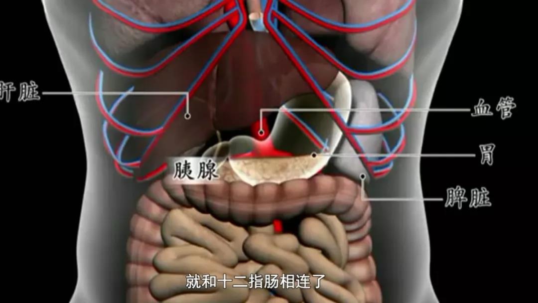 胰腺位置太深,涉及器官太多,血管太丰富.