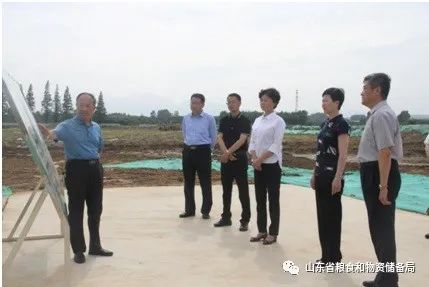 省粮食和储备局局长王伟华调研日照夏粮收购优质粮食工程建设和安全