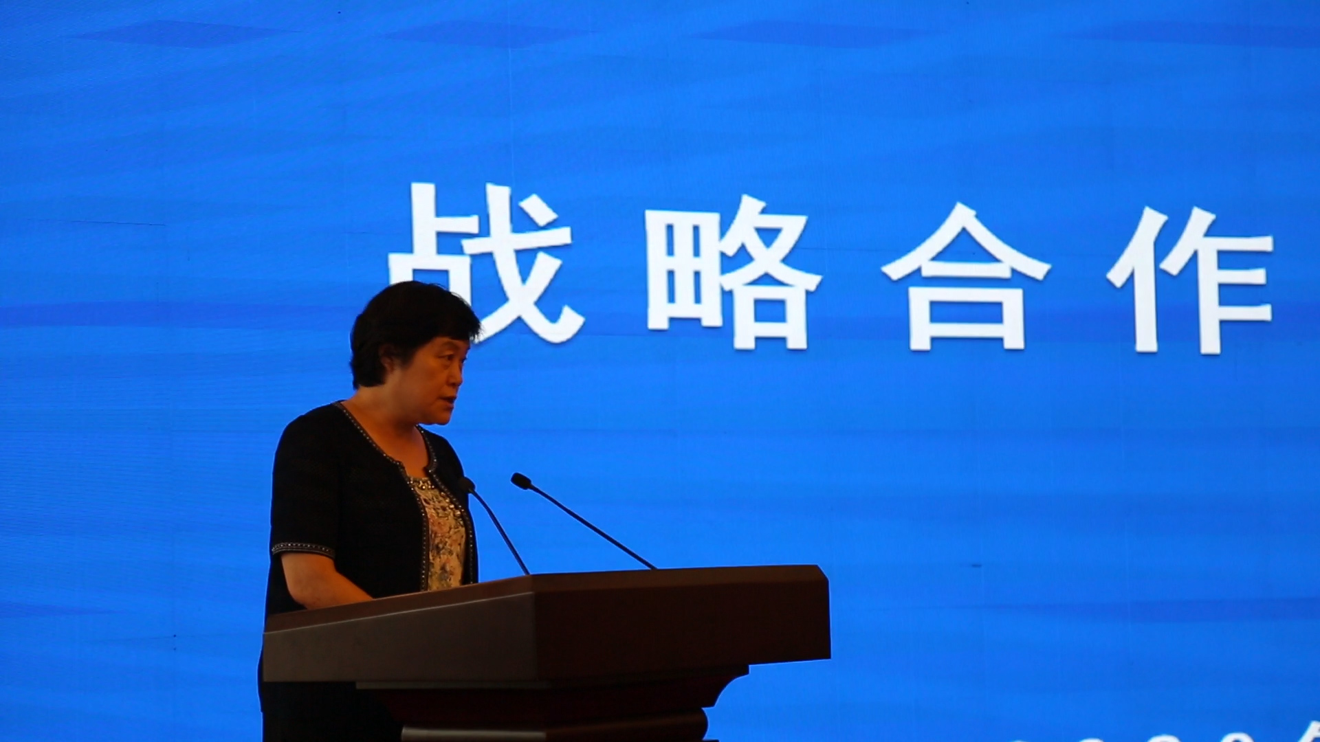 和加快高耗能行业高质量发展工作专项小组办公室专职副主任李莎介绍