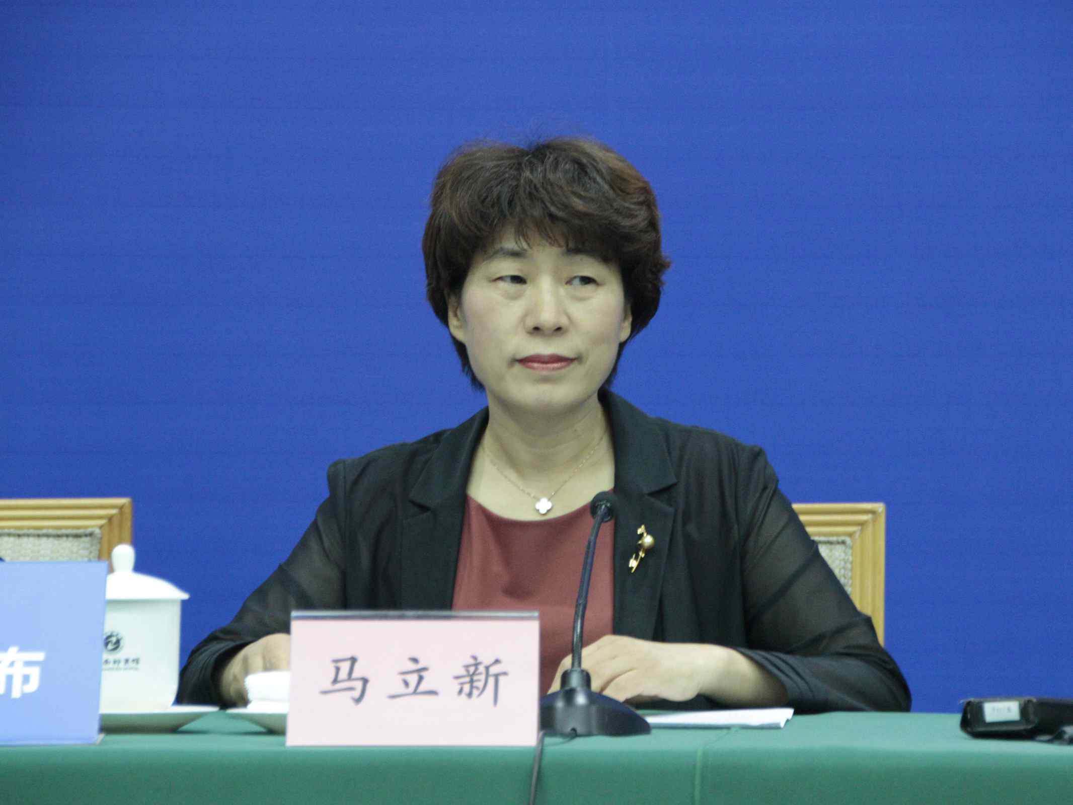 发布会现场