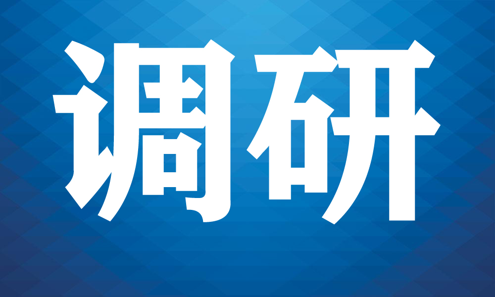 杨丽到综保区调研督导全国文明城市创建工作