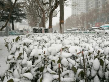潍坊市部署应对强寒潮天气防范工作
