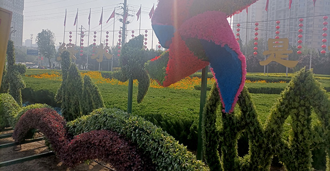 植物模拟造型扮靓聊城街景