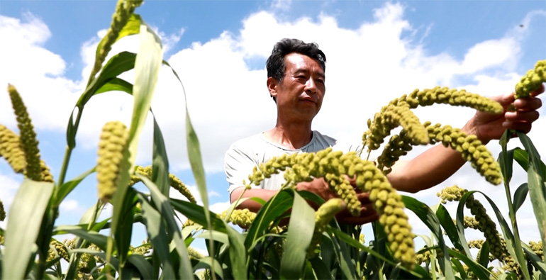 潍坊昌乐：发挥火山农业优势资源 以产业发展带动乡村振兴