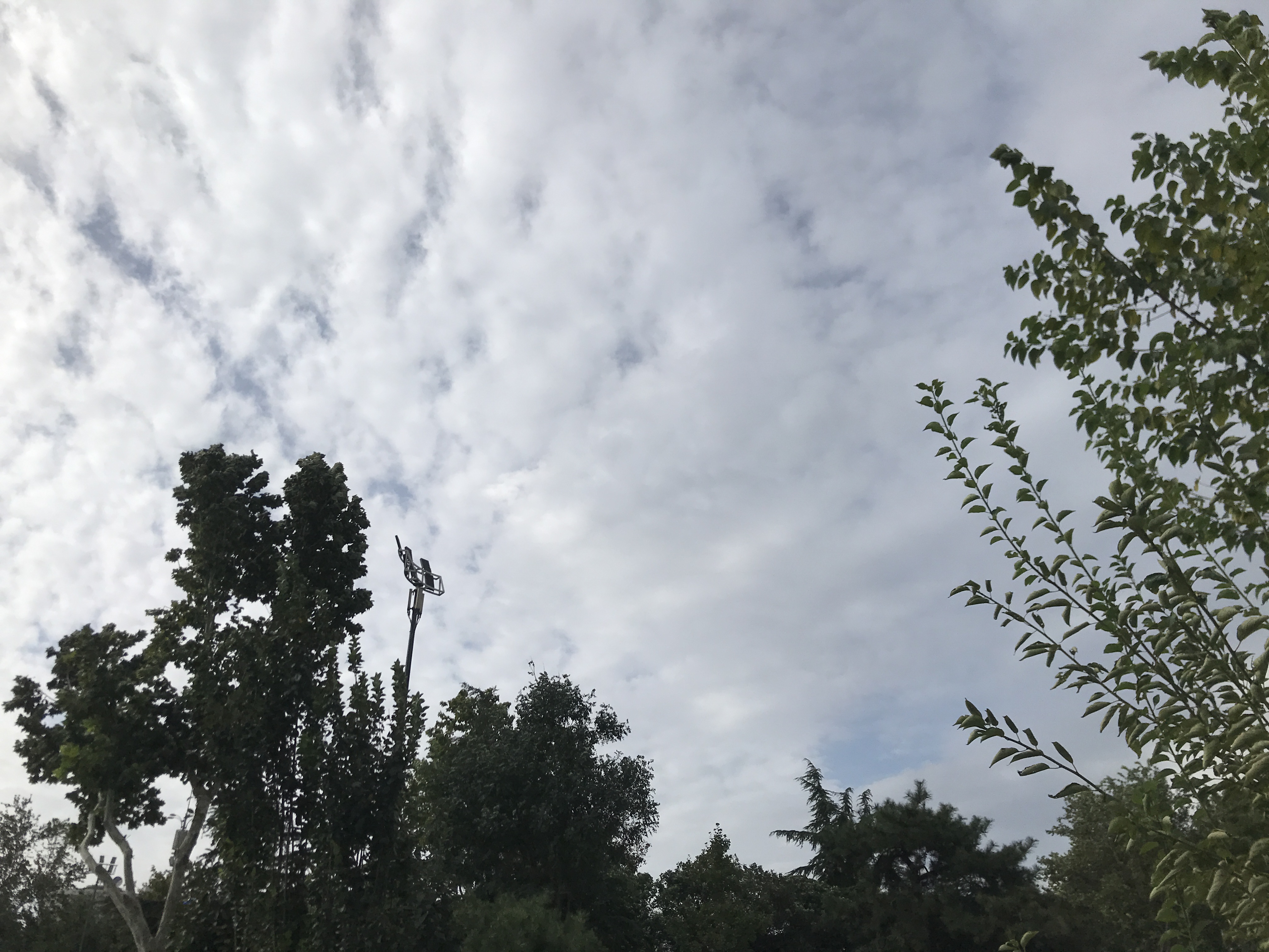 今天白天到夜间,鲁中的东部,鲁南和半岛南部地区天气阴有小雨转多云