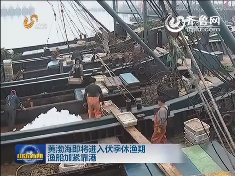 黄渤海即将进入伏季休渔期 渔民加紧靠港