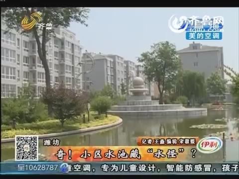 潍坊：奇！小区水池藏“水怪”？