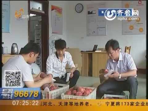 枣庄山亭：政府全力扶持 村民网上卖鲜桃