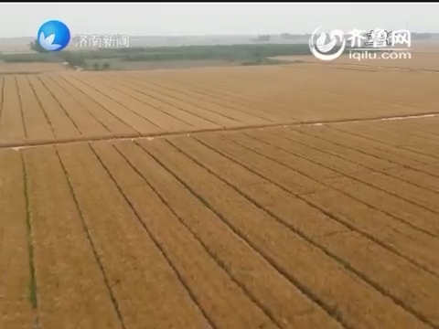 济南市划定永久基本农田6.6万亩