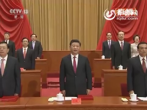 庆祝中国共产党成立95周年大会