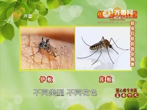 20160725《健康早知道》：蚊虫叮咬的致命隐患