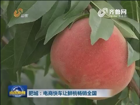 肥城：电商快车让时鲜桃子畅销全国