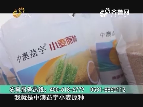 20160828《当前农事》：中澳益宇小麦原种
