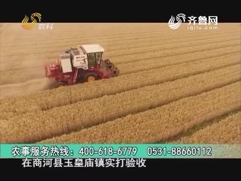 20160906《当前农事》：中澳益宇小麦原种