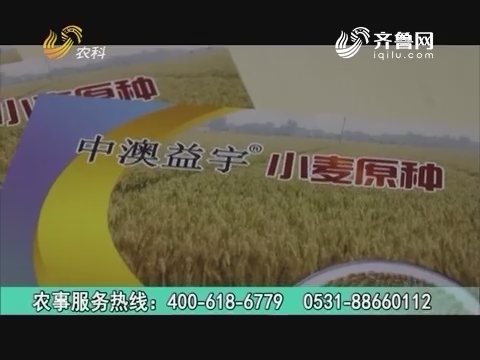 20160910《当前农事》：中澳益宇小麦原种