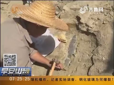 烟台莱阳：白垩纪国家地质公园发现恐龙化石层