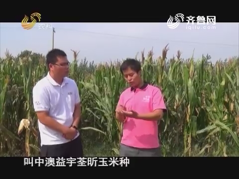 20161105《当前农事》：中澳益宇荃昕玉米种