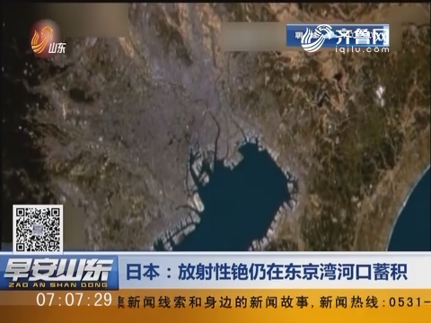 日本：放射性铯仍在东京湾河口蓄积