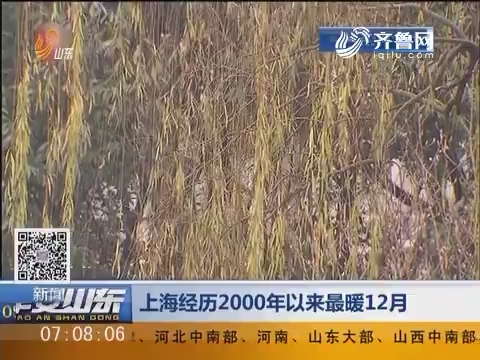 上海经历2000年以来最暖12月