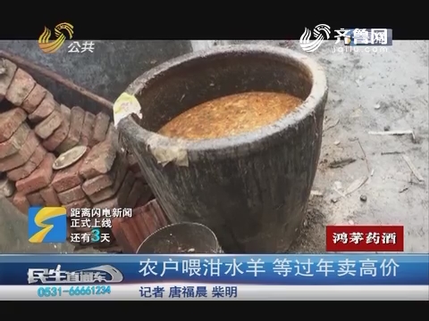 济南：农户喂泔水羊 等过年卖高价
