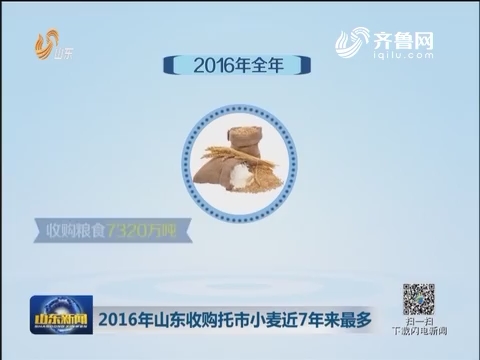 2016年山东收购托市小麦近7年来最多
