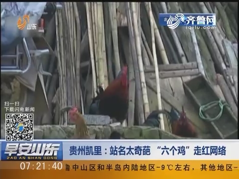 贵州凯里：站名太奇葩 “六个鸡”走红网络