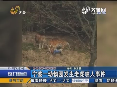宁波一动物园发生老虎咬人事件