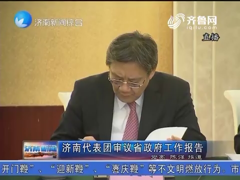 济南代表团审议山东省政府工作报告