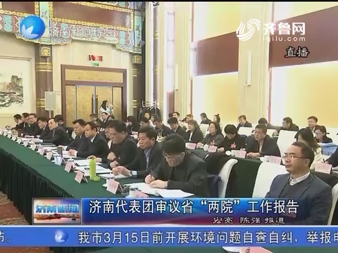 济南代表团审议山东省“两院”工作报告