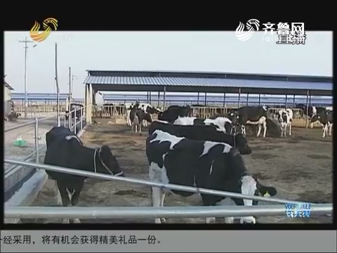 农业部：到2020年奶牛规模养殖比重超70%