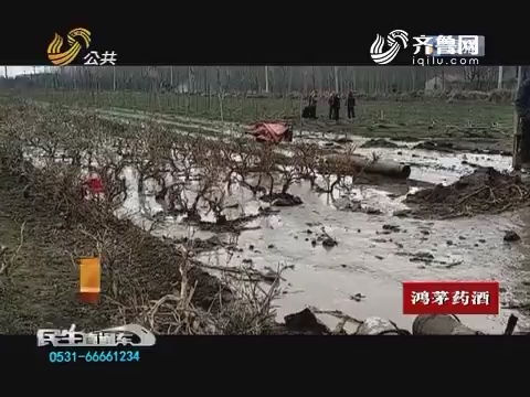 【真相】济南：挖掉麦田种树苗
