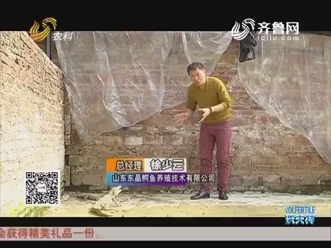 徐少云：中国杀鳄第一人