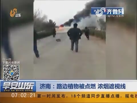 济南：路边植物被点燃 浓烟遮视线