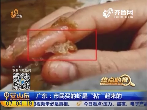 热点快搜：广东——市民买的虾是“粘”起来的
