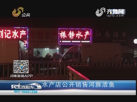 济南：水产店公开销售河豚活鱼