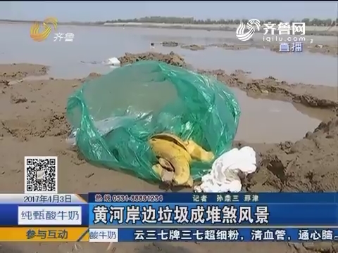 济南：黄河岸边垃圾成堆煞风景