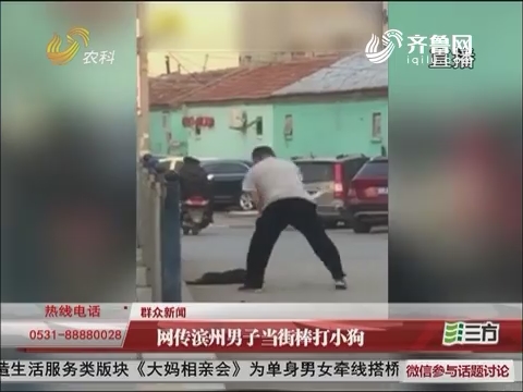 群众新闻：网传滨州男子当街棒打小狗