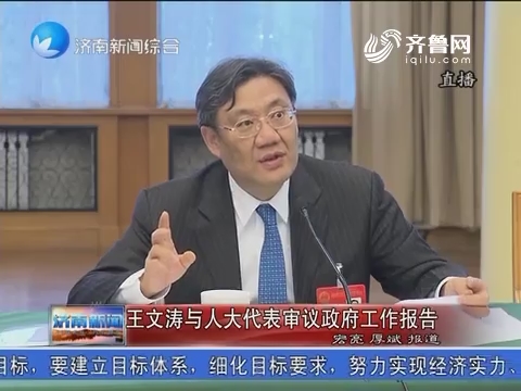 王文涛与人大代表审议政府工作报告