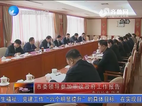 济南市委领导参加审议政府工作报告