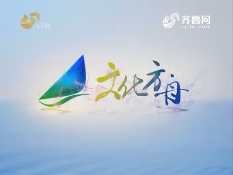 20170412《文化方舟》：“怀城”樊枫作品展在山东美术馆开幕