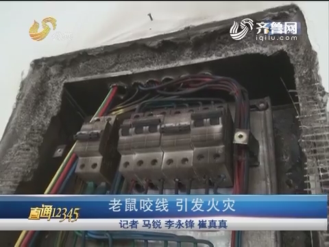 【直通12345】滨州：老鼠咬线引发火灾 火势凶猛消防车“卡”在路上