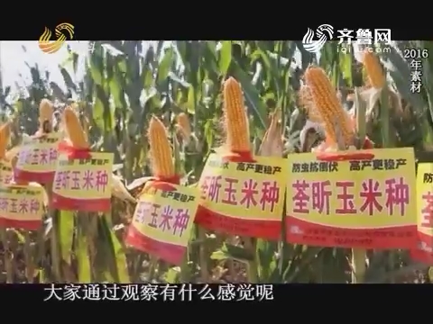20170429《当前农事》：中澳益宇荃昕玉米种