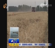 济南：遇强降雨小麦倒伏 芒种机收成本高