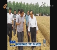 季缃绮在济南检查“三夏”农业生产工作